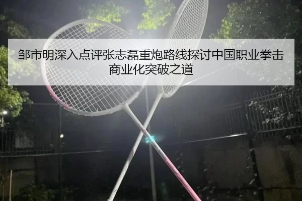邹市明深入点评张志磊重炮路线探讨中国职业拳击商业化突破之道